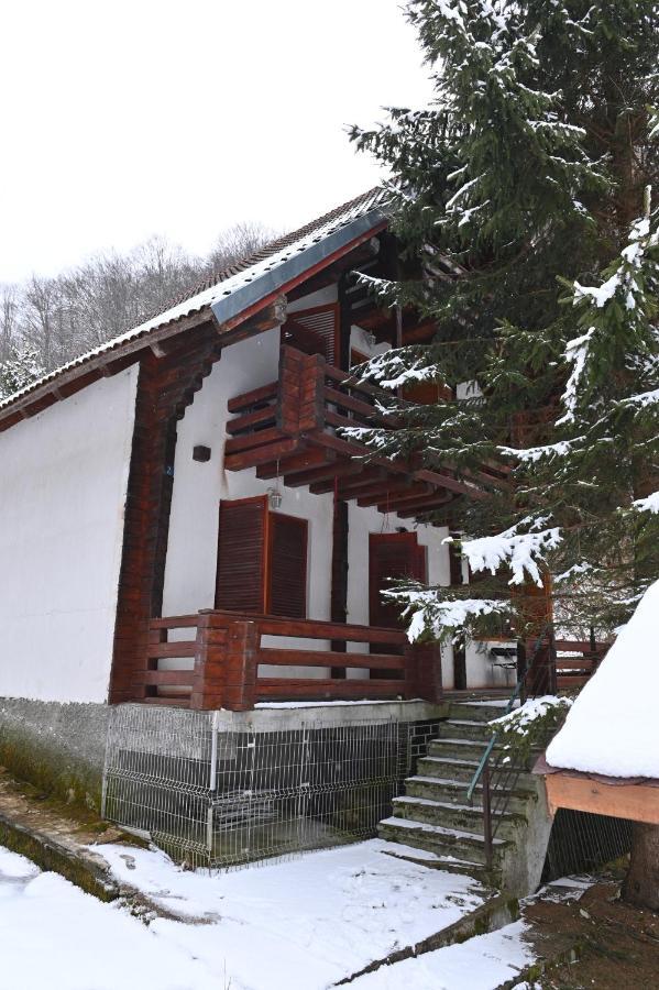 Casa De Vacanta Satic Piatra Craiului La Doi Viermi Exterior photo