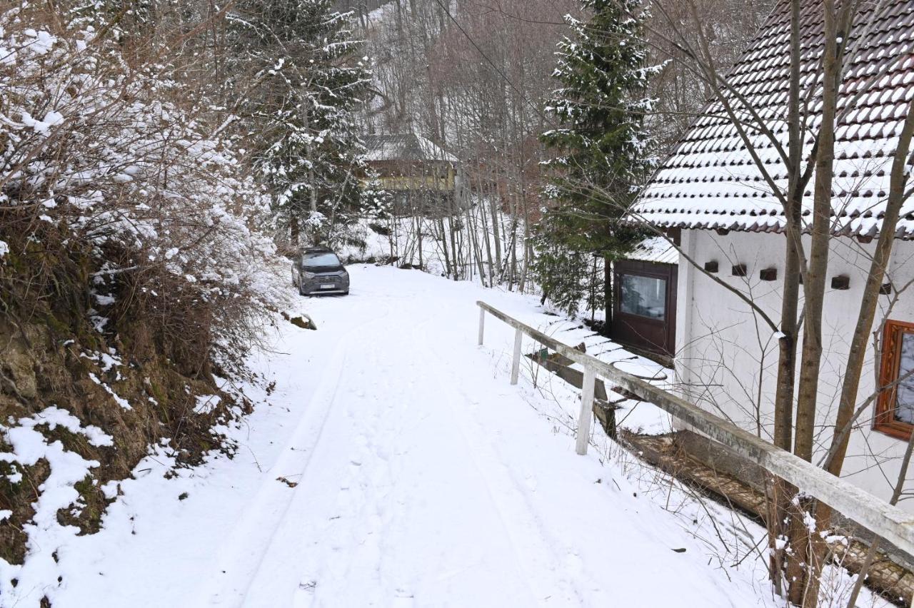 Casa De Vacanta Satic Piatra Craiului La Doi Viermi Exterior photo