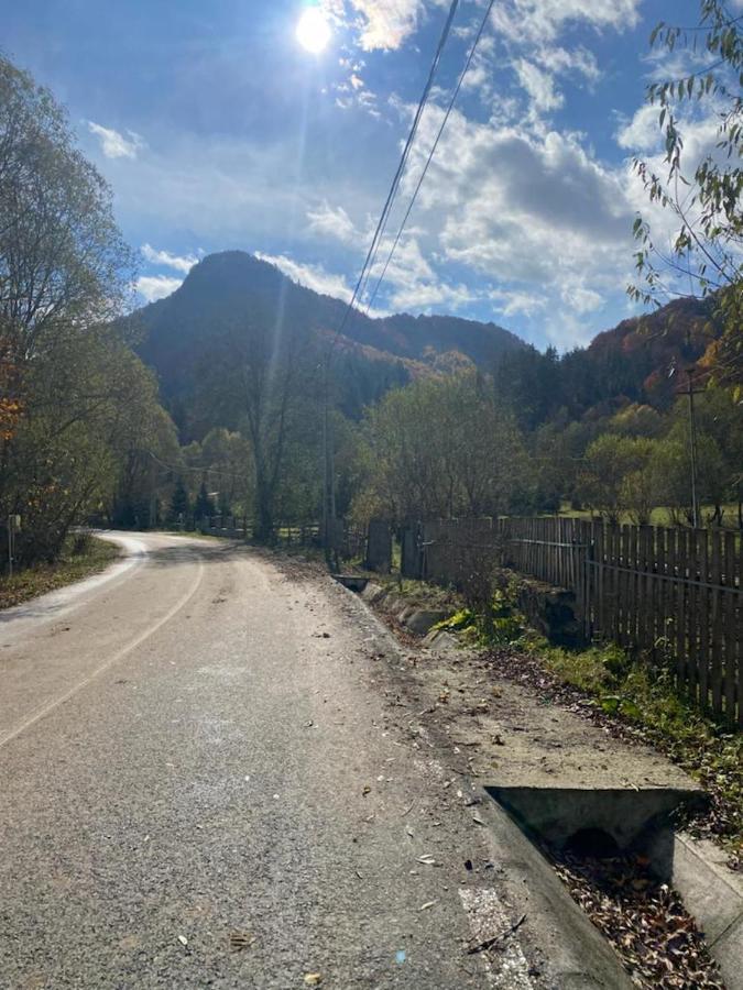 Casa De Vacanta Satic Piatra Craiului La Doi Viermi Exterior photo